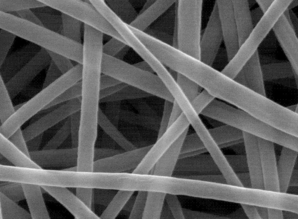 碳纳米纤维膜